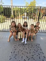 Boy2, a male Australian Labradoodle for sale in Bakersfield, CA – Photo 2 of 8