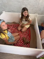 Boy3, a male Australian Labradoodle for sale in Bakersfield, CA – Photo 8 of 10