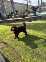 processed/d2fad7a5-6359-4e3e-9ae1-81cf0b334bf5/listing/82f78b6b-379e-4ebf-82c4-af0e203fbb6e/a691a44e-f8b9-4f13-956a-5bf104ffefce