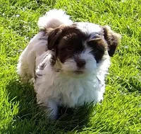 processed/d3034b22-26c0-4c56-b60d-c21b256ce306/facility/90cf1a2e-af99-40ee-a489-b826e42fddfe