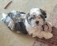 processed/d3034b22-26c0-4c56-b60d-c21b256ce306/facility/e8189e8f-cae3-46b8-b6b4-730995c72814