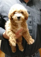 processed/d3034b22-26c0-4c56-b60d-c21b256ce306/facility/fa3e17c3-356d-4444-90fa-ba2cf6f96a15