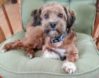 processed/d3034b22-26c0-4c56-b60d-c21b256ce306/facility/feeed895-70b3-426d-8eb7-e4d37a5dff5f