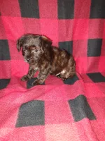 processed/d3045aee-3fc8-4665-884e-d6d1124a756a/listing/1a4e1a52-f2b0-4bd3-befb-7c5461ea8c26/0b081d96-4281-432b-8437-c5de5bb5ed70