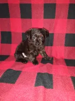 processed/d3045aee-3fc8-4665-884e-d6d1124a756a/listing/1a4e1a52-f2b0-4bd3-befb-7c5461ea8c26/0b395edc-e178-4c30-8211-bcb2582f43b1