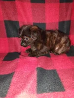 processed/d3045aee-3fc8-4665-884e-d6d1124a756a/listing/1a4e1a52-f2b0-4bd3-befb-7c5461ea8c26/14627f2d-25ea-4f70-a285-8f23c7de1785