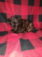 processed/d3045aee-3fc8-4665-884e-d6d1124a756a/listing/1a4e1a52-f2b0-4bd3-befb-7c5461ea8c26/1b188a0b-8998-4391-b5a4-66576ae1da40