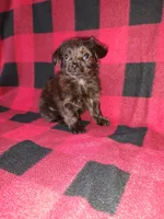 processed/d3045aee-3fc8-4665-884e-d6d1124a756a/listing/1a4e1a52-f2b0-4bd3-befb-7c5461ea8c26/5977f173-5d6d-4e5b-b4ff-d54709f933a0