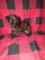 processed/d3045aee-3fc8-4665-884e-d6d1124a756a/listing/1a4e1a52-f2b0-4bd3-befb-7c5461ea8c26/647312e6-02be-491d-90b6-87ae5fd74fd0