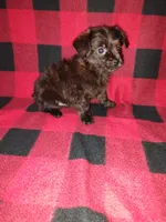 processed/d3045aee-3fc8-4665-884e-d6d1124a756a/listing/1a4e1a52-f2b0-4bd3-befb-7c5461ea8c26/8ea3cd66-477b-4599-a2b2-25c8a0d78ef8