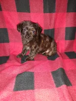 processed/d3045aee-3fc8-4665-884e-d6d1124a756a/listing/1a4e1a52-f2b0-4bd3-befb-7c5461ea8c26/9c680e81-aa0f-4e05-a163-56cd1952d291