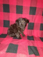 processed/d3045aee-3fc8-4665-884e-d6d1124a756a/listing/1a4e1a52-f2b0-4bd3-befb-7c5461ea8c26/b89cd2f1-f41e-463b-8f23-58875846a08b