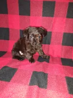 processed/d3045aee-3fc8-4665-884e-d6d1124a756a/listing/1a4e1a52-f2b0-4bd3-befb-7c5461ea8c26/e147466d-726d-4583-adc8-b99371733ea3