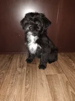 processed/d3045aee-3fc8-4665-884e-d6d1124a756a/listing/f19d3230-4bf3-4153-863e-86c066cdc58c/0431ecbb-6089-4742-acba-b3a6c4a6067a