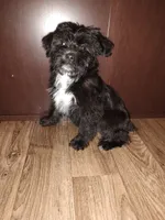 processed/d3045aee-3fc8-4665-884e-d6d1124a756a/listing/f19d3230-4bf3-4153-863e-86c066cdc58c/10dd9eab-22e0-4687-aee2-4478c916cf67