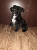 processed/d3045aee-3fc8-4665-884e-d6d1124a756a/listing/f19d3230-4bf3-4153-863e-86c066cdc58c/2071826e-ac16-442b-afed-cc1c8461fc88