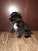 processed/d3045aee-3fc8-4665-884e-d6d1124a756a/listing/f19d3230-4bf3-4153-863e-86c066cdc58c/2a5dc316-5c14-4b22-9409-b227812d6bb2