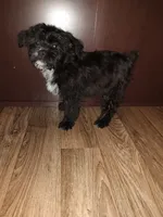 processed/d3045aee-3fc8-4665-884e-d6d1124a756a/listing/f19d3230-4bf3-4153-863e-86c066cdc58c/35bf96b6-ac18-411c-88e1-0a49c6b37e01