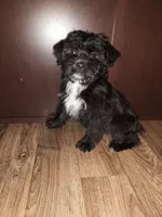 processed/d3045aee-3fc8-4665-884e-d6d1124a756a/listing/f19d3230-4bf3-4153-863e-86c066cdc58c/413c51f3-6dd5-480d-b8c9-39898f212688