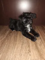 processed/d3045aee-3fc8-4665-884e-d6d1124a756a/listing/f19d3230-4bf3-4153-863e-86c066cdc58c/5d23aa6e-fa0c-4815-b47c-4865717a517c