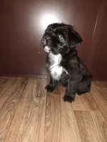 processed/d3045aee-3fc8-4665-884e-d6d1124a756a/listing/f19d3230-4bf3-4153-863e-86c066cdc58c/87c3189b-57f2-4618-ab08-6a75524e4bcd