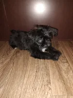 processed/d3045aee-3fc8-4665-884e-d6d1124a756a/listing/f19d3230-4bf3-4153-863e-86c066cdc58c/fa40a1e6-8e3e-4481-b38c-0fbf9eda8317