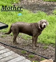 processed/d30504c6-840f-48be-ab9b-457ffb367d7d/listing/214c26ad-9d7d-4351-b6a4-2d0d9bfd3ff1/14c4c11c-d316-47c8-a2e6-630990bc9b86