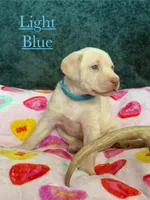 processed/d30504c6-840f-48be-ab9b-457ffb367d7d/listing/214c26ad-9d7d-4351-b6a4-2d0d9bfd3ff1/2a542c97-9a31-4915-9cbf-4783254c392b