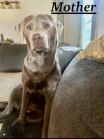 processed/d30504c6-840f-48be-ab9b-457ffb367d7d/listing/214c26ad-9d7d-4351-b6a4-2d0d9bfd3ff1/dec0e718-f849-48cf-8b13-1c63143a17ad