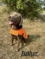 processed/d30504c6-840f-48be-ab9b-457ffb367d7d/listing/5797a5d8-a414-4c06-bf48-d47e99eb1f55/036c0e78-ffb9-4c02-8dcb-b886805b5e5f