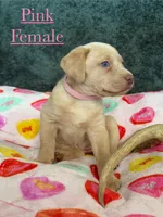 processed/d30504c6-840f-48be-ab9b-457ffb367d7d/listing/5797a5d8-a414-4c06-bf48-d47e99eb1f55/3c58e740-fdcf-421a-b28d-7263188aa42a