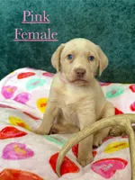 processed/d30504c6-840f-48be-ab9b-457ffb367d7d/listing/5797a5d8-a414-4c06-bf48-d47e99eb1f55/95386b1b-f84c-4f94-a872-af3352d70592