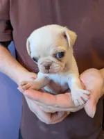 processed/d316870f-77a7-4a58-81a1-9b2c37a876ee/listing/4aa7bcbd-b5dd-4b50-8807-11c99116e25b/da6885be-3e97-49c5-98b4-e5a69b3a911d