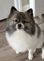 processed/d31a3cc9-3dad-47b1-939f-70485c3ea89c/listing/b9c10668-8ac4-4568-9a00-e2c4f1cc5c9a/7f1e124a-9bc1-44b9-bc1f-d8027a9c69fa