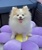 processed/d31a3cc9-3dad-47b1-939f-70485c3ea89c/listing/b9c10668-8ac4-4568-9a00-e2c4f1cc5c9a/9375da2c-26a6-4ab4-b85b-2605c73bc5a9