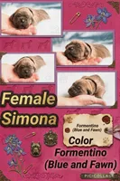 Obsidian Wildfire Simona, a female Cane Corso for sale in Charlotte, NC – 1 of 5