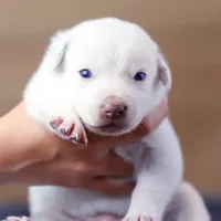 processed/d31f42ae-b6db-4533-a90c-263bb15ed0ee/facility/41bc5ac0-42c1-491f-a4bb-51deb57153e4