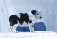 processed/d31f42ae-b6db-4533-a90c-263bb15ed0ee/listing/3a730a90-326b-45bb-8f6c-ba226e2bf942/94f03234-c8c4-4527-9be2-79207889513d