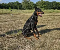 processed/d31f42ae-b6db-4533-a90c-263bb15ed0ee/listing/81fb7f0b-6e5b-4970-ab49-afb65660d923/7f4ec48e-a903-4ec0-87b4-8fd2fc955902