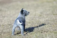 processed/d31f42ae-b6db-4533-a90c-263bb15ed0ee/listing/b1074d57-8a00-4e61-b066-f0c6f17c2c22/33777263-c8c7-4fa0-a791-47051d8eca8f