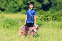 Bella, a female Australian Cattle Dog for sale in Paris, TX – 5 of 7