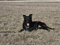 processed/d31f42ae-b6db-4533-a90c-263bb15ed0ee/listing/bee22af0-3e76-45aa-94ba-63e8f0f2814e/b62be644-c91e-4fd0-9533-01abe5be2f61