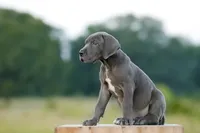 processed/d31f42ae-b6db-4533-a90c-263bb15ed0ee/listing/eca99555-326d-4901-bc03-1640ddc8d9de/0ddfbf9a-2bf5-4db8-ac5f-7401d4c45f8e