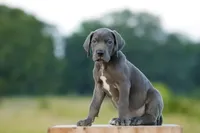 processed/d31f42ae-b6db-4533-a90c-263bb15ed0ee/listing/eca99555-326d-4901-bc03-1640ddc8d9de/96119482-9012-445e-b16a-0895cbe5d6e5