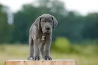 processed/d31f42ae-b6db-4533-a90c-263bb15ed0ee/listing/eca99555-326d-4901-bc03-1640ddc8d9de/d69133bb-bf5f-4493-b2c8-736e66437e28