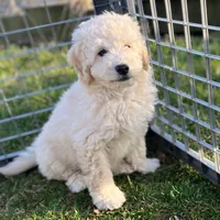 processed/d3259ad4-e2f0-4e9f-80fb-7cce9a6d4664/facility/17633470-824a-43d7-a77a-bd0f9668b1b4