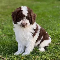 processed/d3259ad4-e2f0-4e9f-80fb-7cce9a6d4664/facility/292214b2-945e-44fa-9107-a7fc2c5758e3