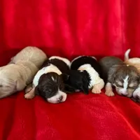 processed/d3259ad4-e2f0-4e9f-80fb-7cce9a6d4664/facility/5e08c9b8-4982-4531-9447-05019b141192