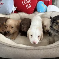 processed/d3259ad4-e2f0-4e9f-80fb-7cce9a6d4664/facility/84651ffe-0a10-4f6f-a081-41ae3d5aa0a8