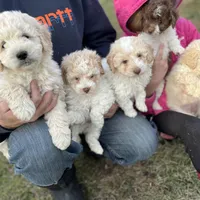 processed/d3259ad4-e2f0-4e9f-80fb-7cce9a6d4664/facility/86876840-200f-4604-bbad-b15ca307db34